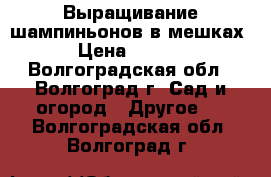 Выращивание шампиньонов в мешках! › Цена ­ 2 500 - Волгоградская обл., Волгоград г. Сад и огород » Другое   . Волгоградская обл.,Волгоград г.